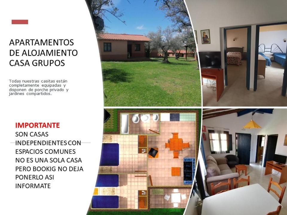 Complejo Aldea Vetonia Check Out Hasta Las 20H Parque De Mascotas Zonas Infantiles Ideal Grupos Parejas Familias Informate Apertura Piscina 1 De Mayo Hervás Exterior foto