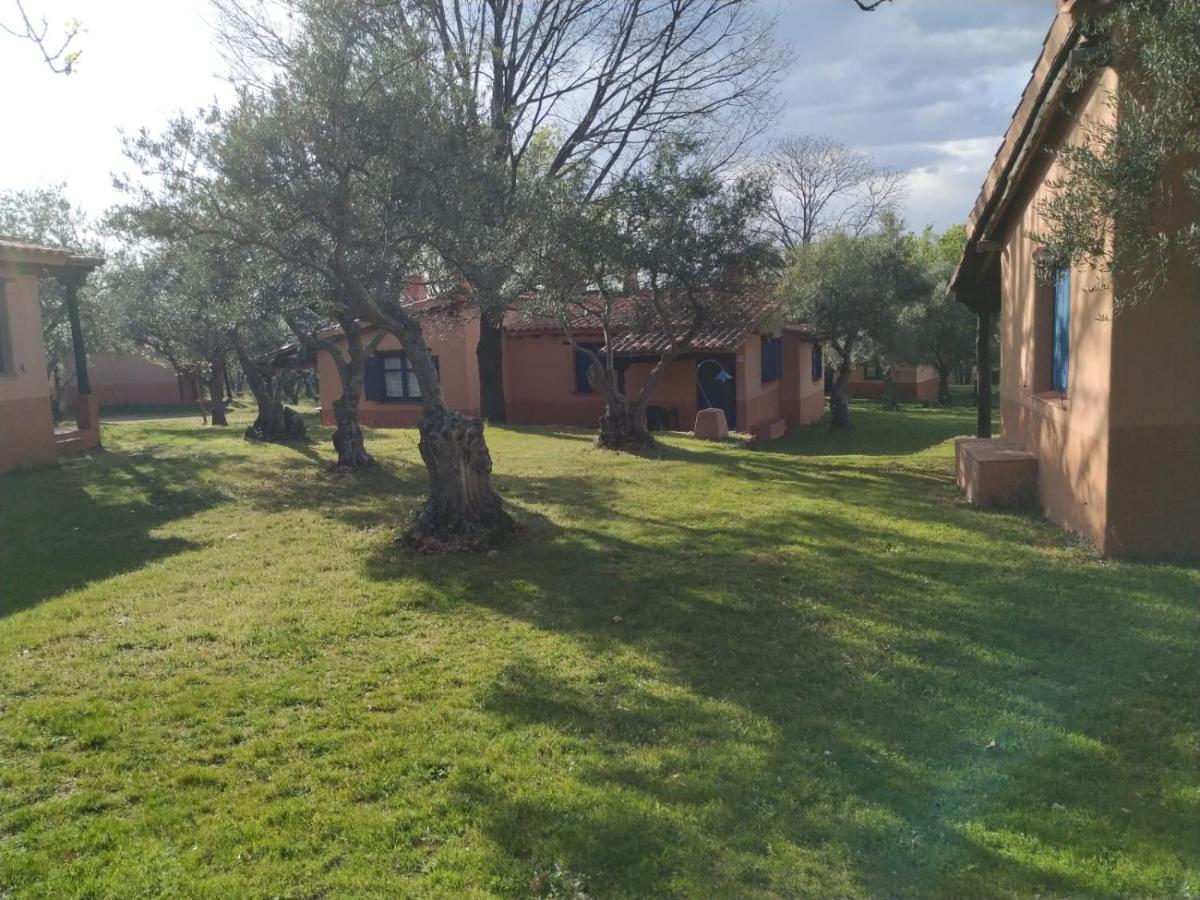 Complejo Aldea Vetonia Check Out Hasta Las 20H Parque De Mascotas Zonas Infantiles Ideal Grupos Parejas Familias Informate Apertura Piscina 1 De Mayo Hervás Exterior foto