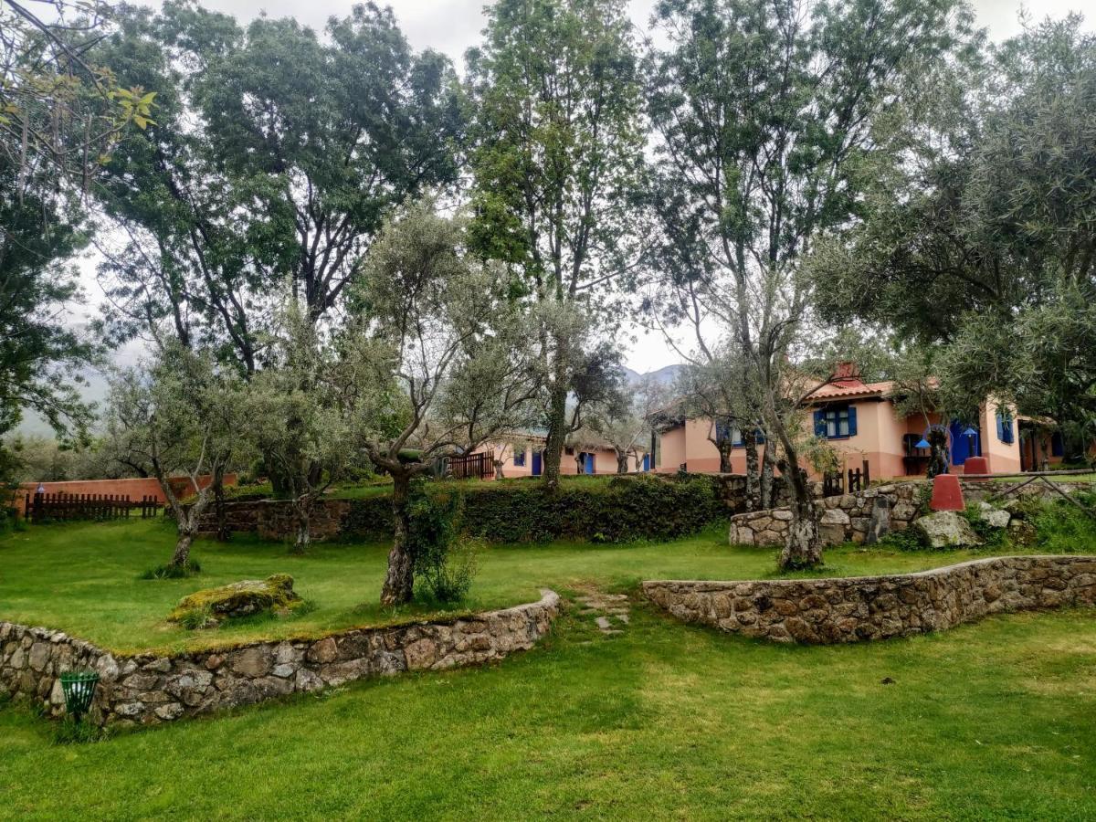 Complejo Aldea Vetonia Check Out Hasta Las 20H Parque De Mascotas Zonas Infantiles Ideal Grupos Parejas Familias Informate Apertura Piscina 1 De Mayo Hervás Exterior foto
