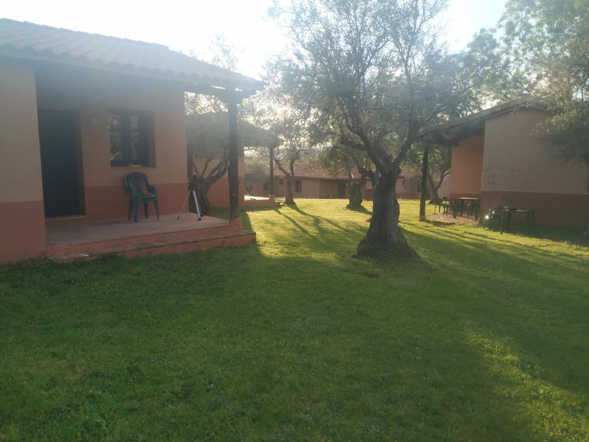 Complejo Aldea Vetonia Check Out Hasta Las 20H Parque De Mascotas Zonas Infantiles Ideal Grupos Parejas Familias Informate Apertura Piscina 1 De Mayo Hervás Exterior foto